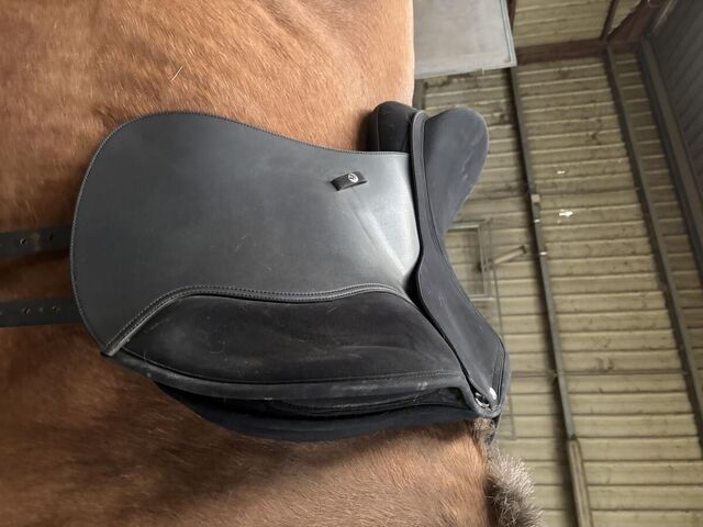 SELLE WINTEC 2000 HART XL