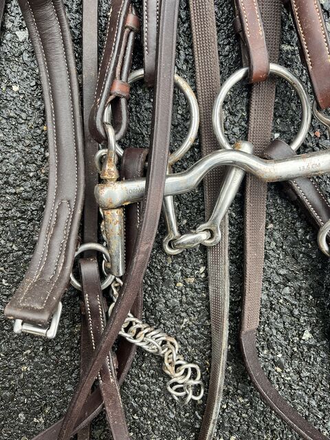 Bride taille cheval