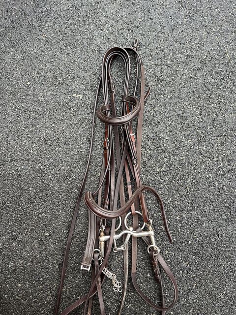 Bride taille cheval