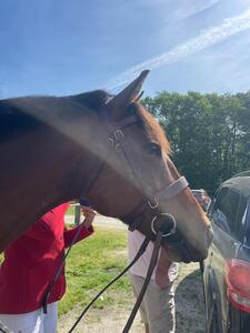 Bridon Alran Sellier