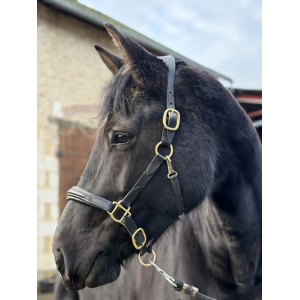 licol devoucoux avec longe neuve