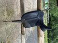 selle de dressage Wintec Isabelle Werth 17’