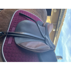 Selle forestier 17