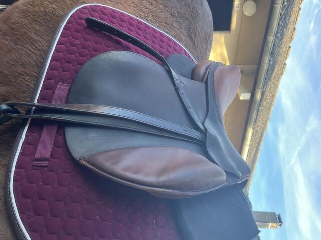 Selle forestier 17