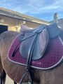 Selle forestier 17
