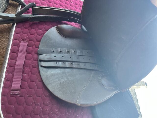 Selle forestier 17