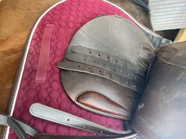 Selle forestier 17