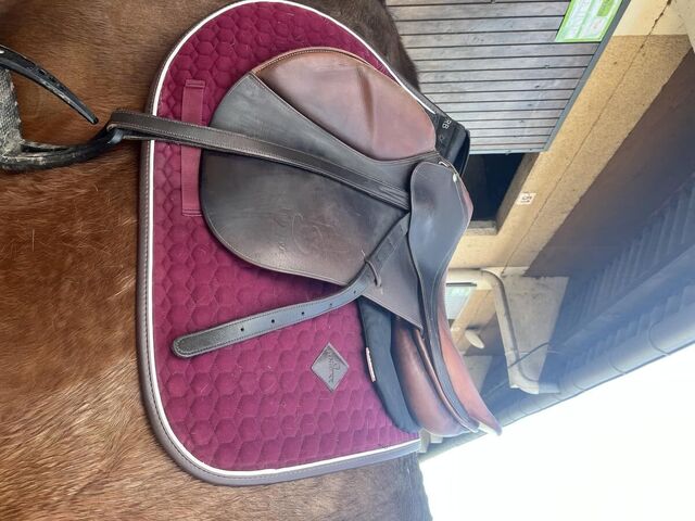 Selle forestier 17