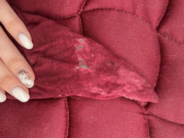 Tapis Harcour Framboise / Marine
