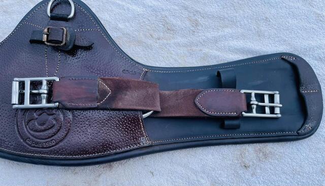 Sangle courte Forestier 60cm cuir havane