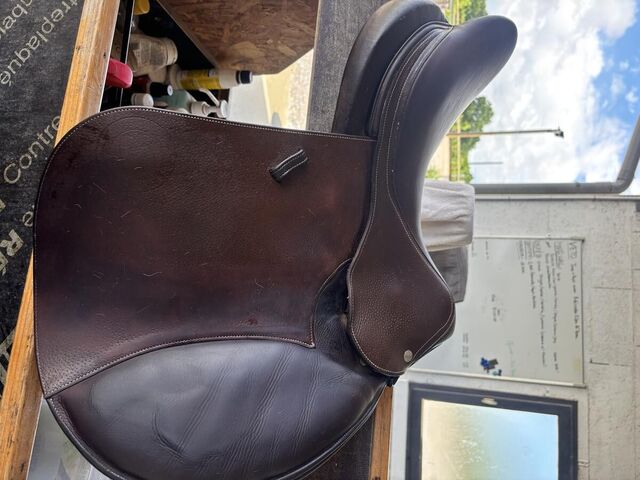 Selle Forestier Seoul