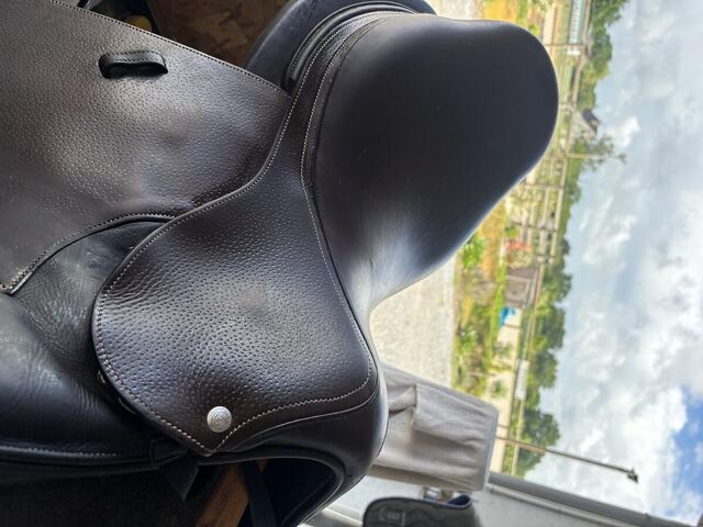Selle Forestier Seoul