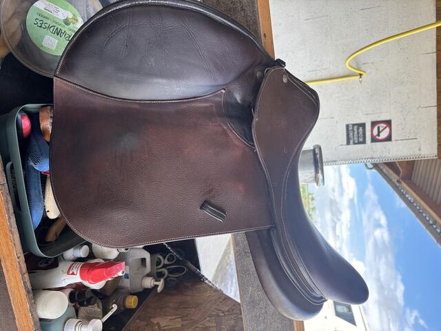 Selle Forestier Seoul