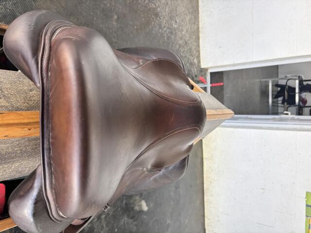 Selle Forestier Seoul