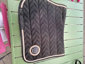 tapis