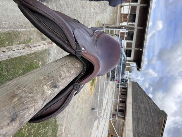 Selle forestier