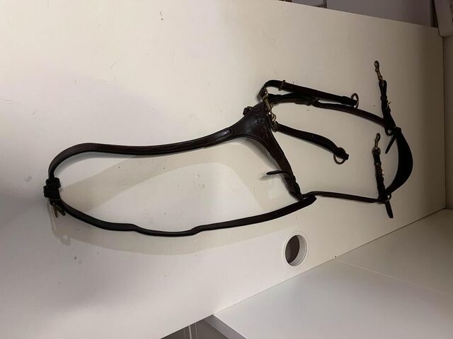 Collier de chasse martingale ikonic