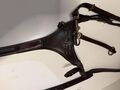 Collier de chasse martingale ikonic