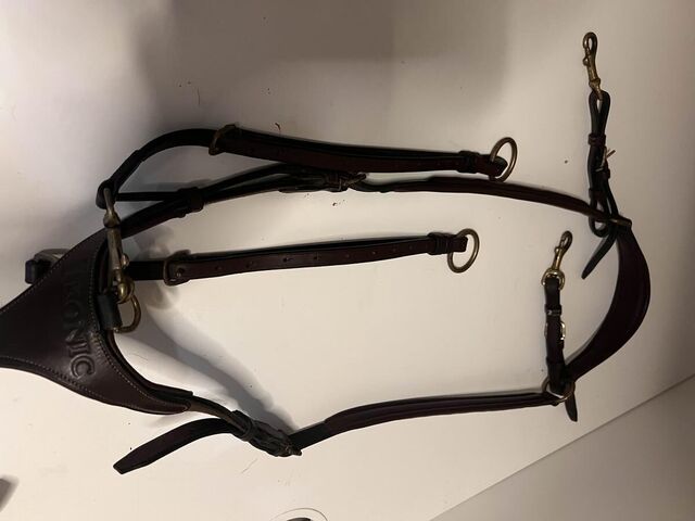 Collier de chasse martingale ikonic