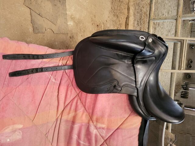 Selle CWD dressage SE37