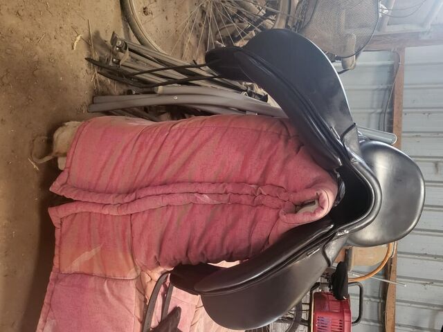 Selle CWD dressage SE37