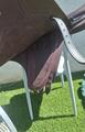 Selle chiberta enara