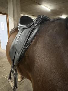 Selle dressage