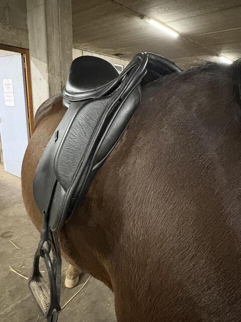 Selle dressage