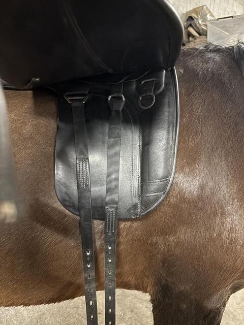 Selle dressage