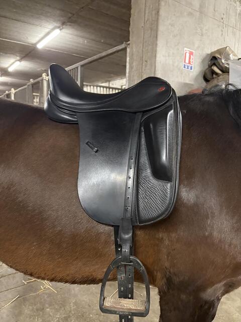 Selle dressage