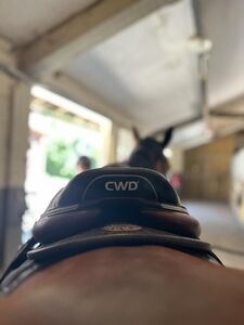 Selle cwd