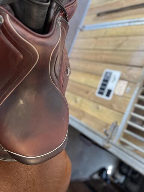 Selle cwd