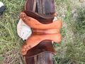 selle mixte childeric marron taille 17,5
