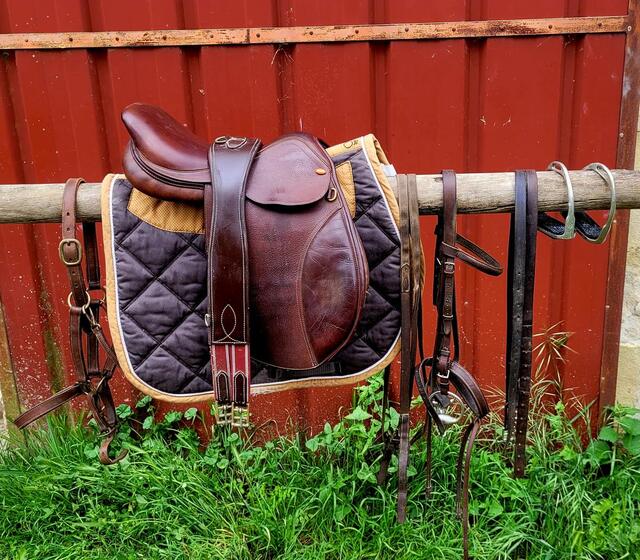 Équipement cheval
