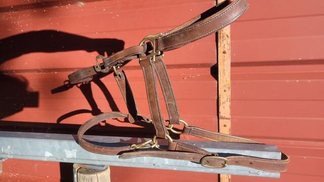 Équipement cheval