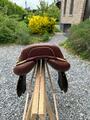 Selle cwd brune avec finitions doré