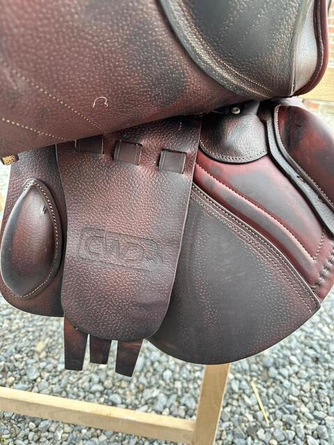Selle cwd brune avec finitions doré