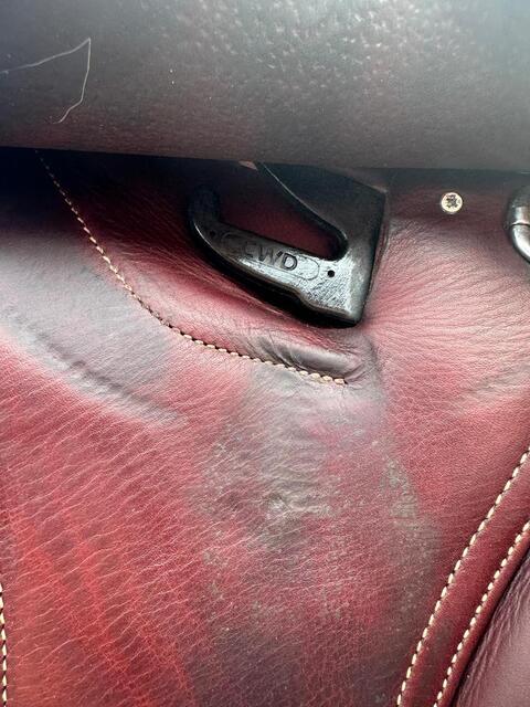 Selle cwd brune avec finitions doré