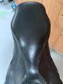 Selle Childeric CSO 16,5