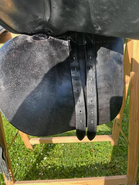 Selle Childeric CSO 16,5