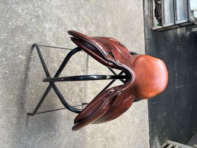 Selle renaissance