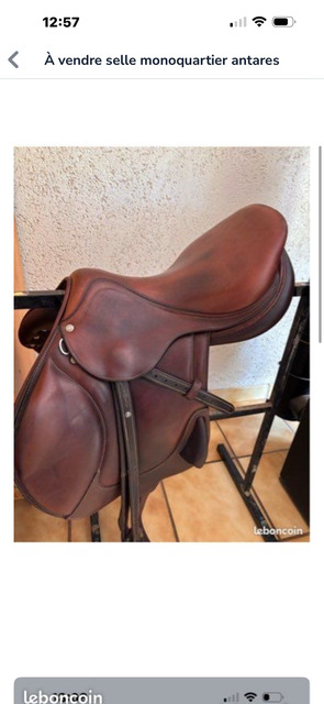 Selle monoquartier antares