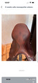 Selle monoquartier antares