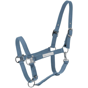 ⚠Licol + longe EQUITHÈME Opal bleu ciel poney NEUF⚠