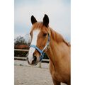 ⚠Licol + longe EQUITHÈME Opal bleu ciel poney NEUF⚠