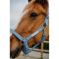 ⚠Licol + longe EQUITHÈME Opal bleu ciel poney NEUF⚠