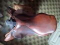 Selle cheval