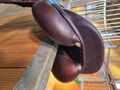 Vends Selle Antarès