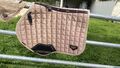 ensemble lemieux Loire champagne taille cheval