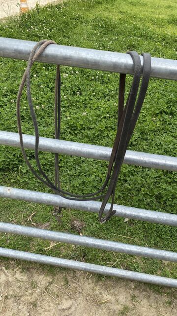 rênes allemande cuir marron cheval